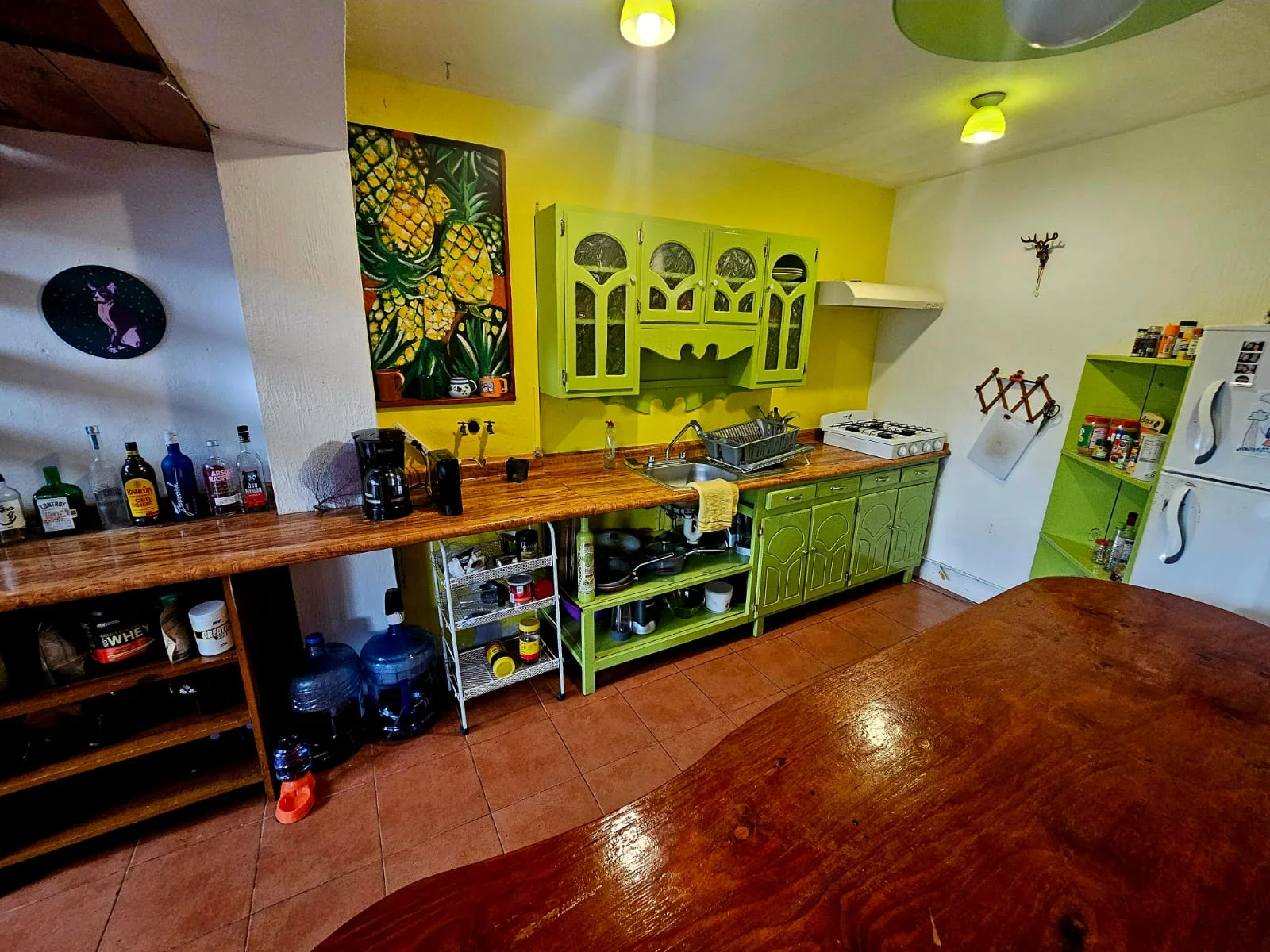 Apartment in Colonia Hollywood Pet-friendly