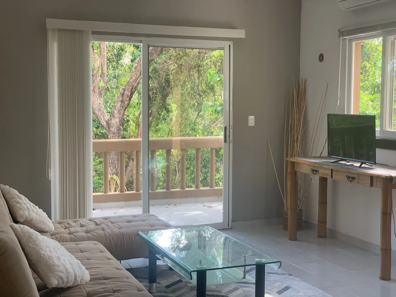 1 Bedroom Furnished Apartment in Playacar