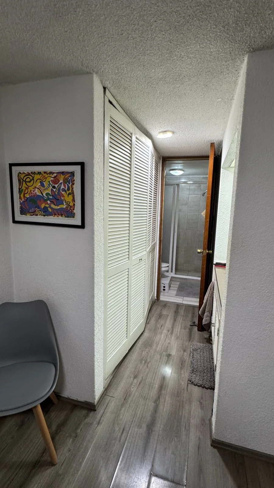 Furnished 2-Bedroom Apartment in Colonia Condesa
