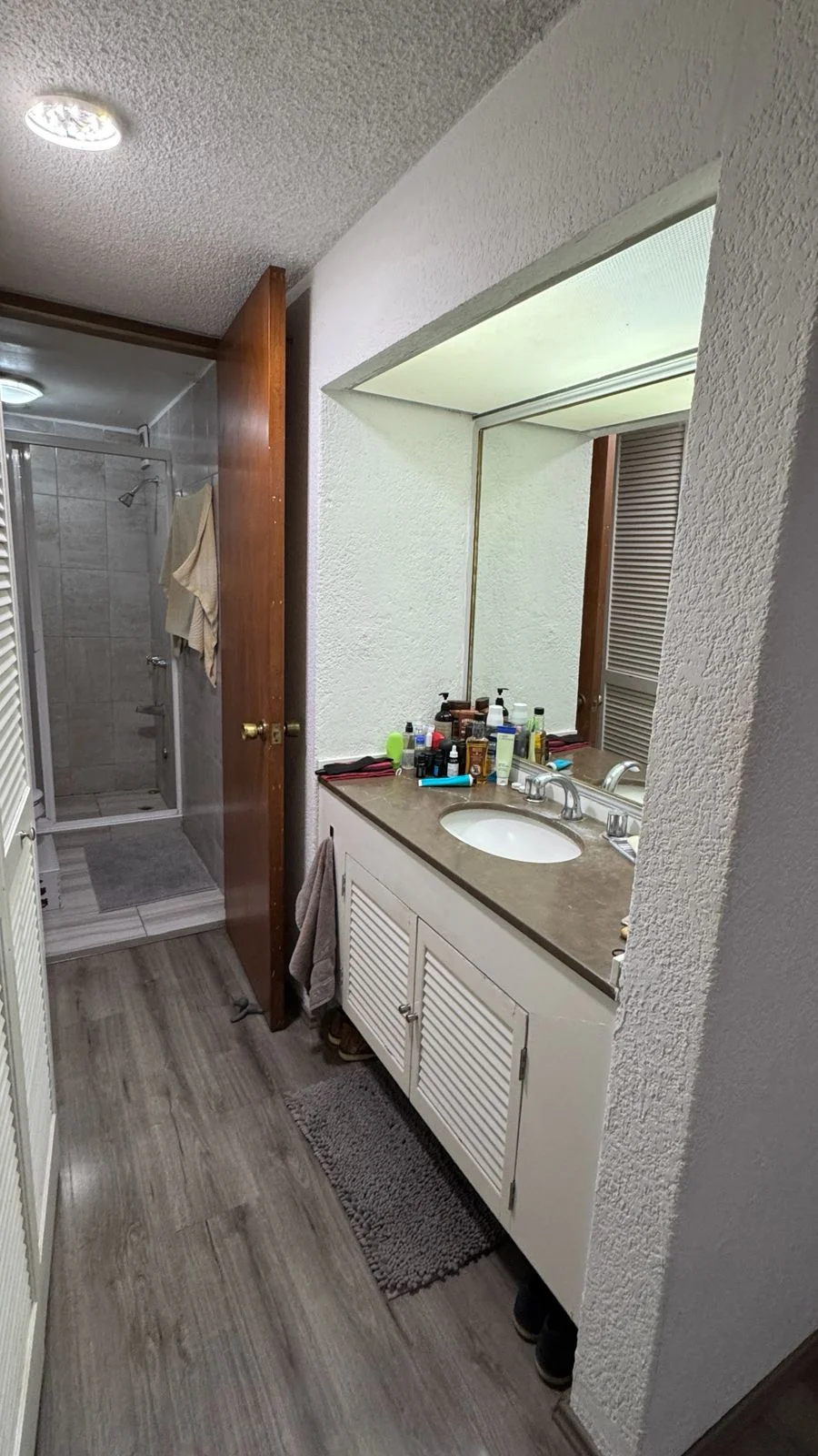 Furnished 2-Bedroom Apartment in Colonia Condesa