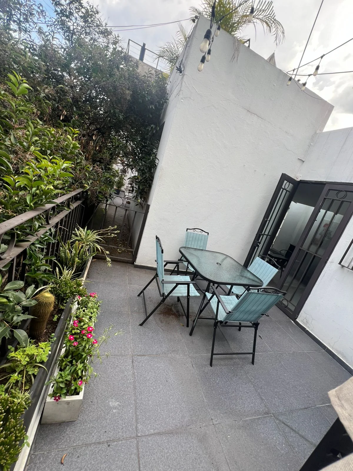 1 Bedroom Apartment in Condesa, Mexico City