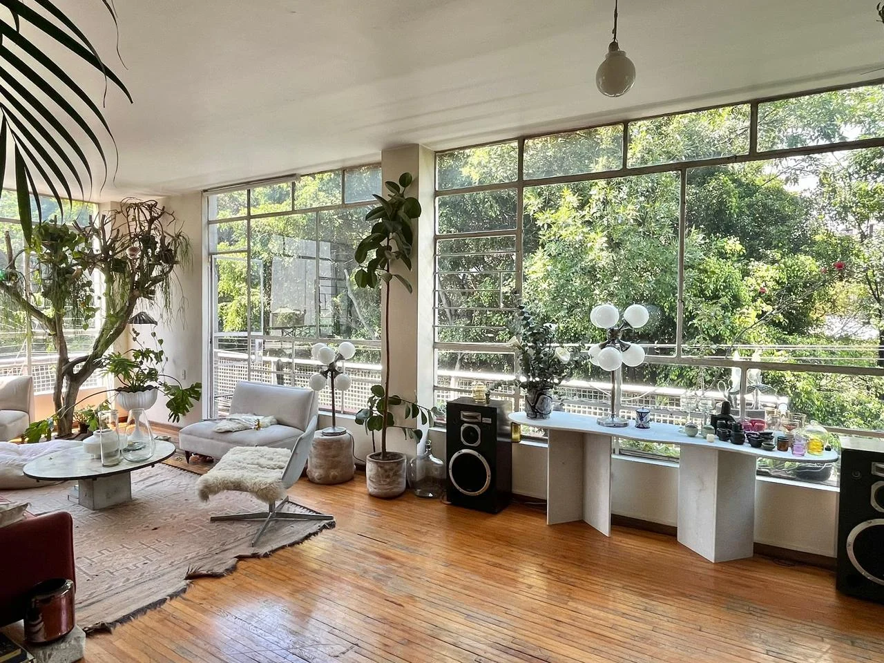 Apartment in Condesa