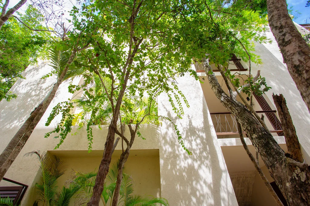 Furnished Studio at Zanza Condominium with Jungle View