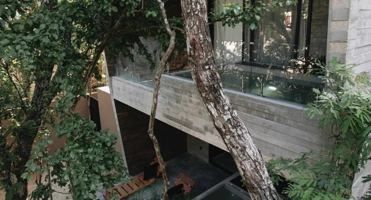Furnished Studio at Zanza Condominium with Jungle View