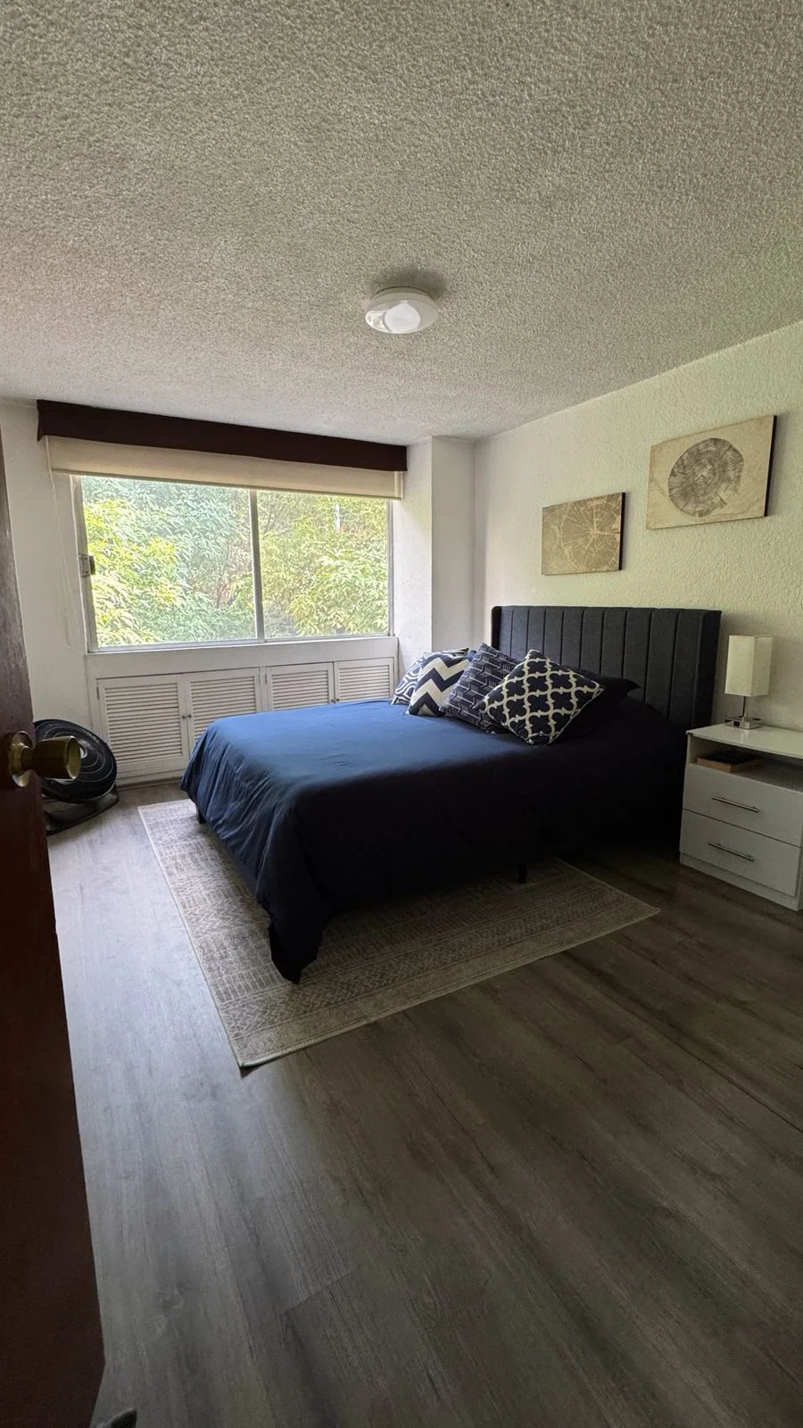 Furnished 2-Bedroom Apartment in Colonia Condesa