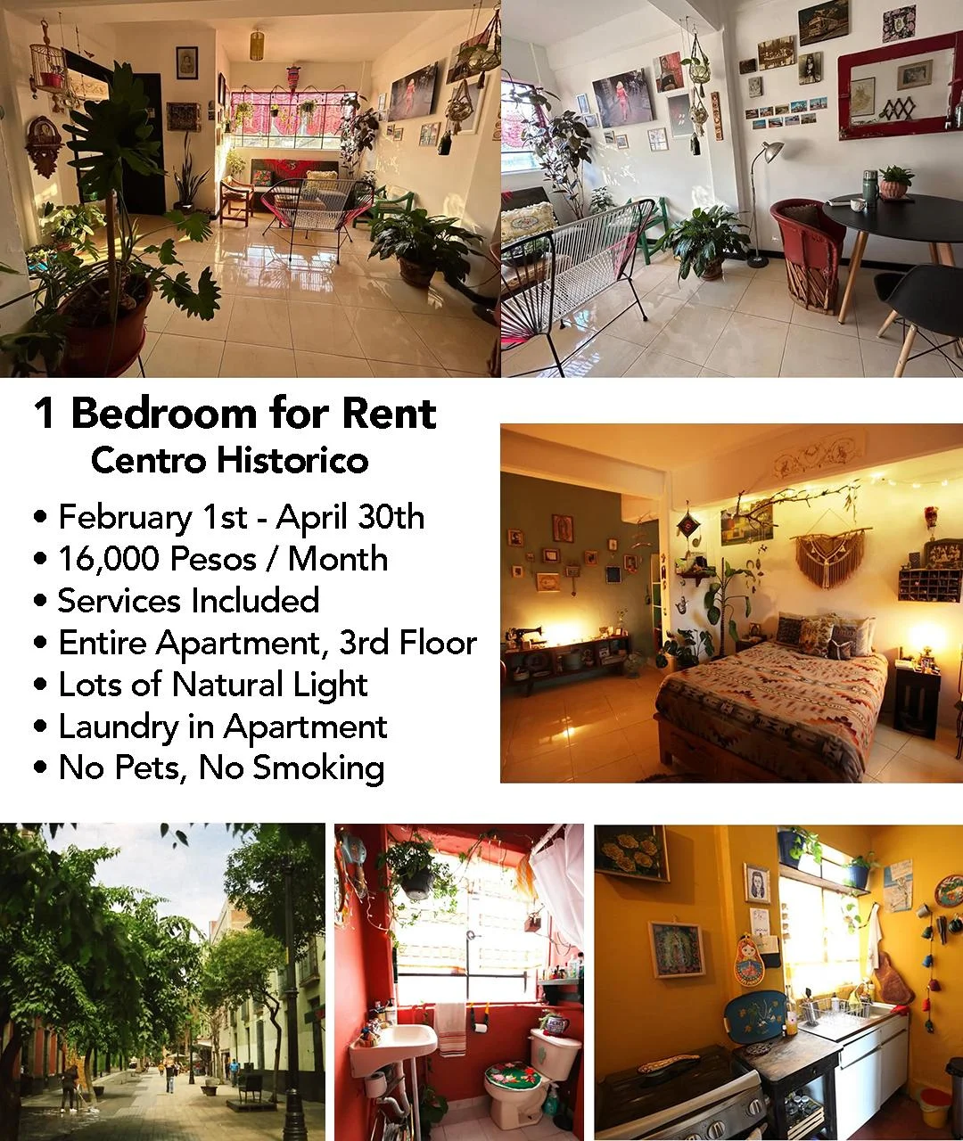 1 Bedroom Apartment in Centro Historico