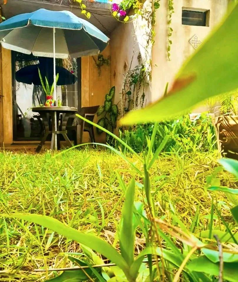 Studio Apartment in Zicatela, Puerto Escondido