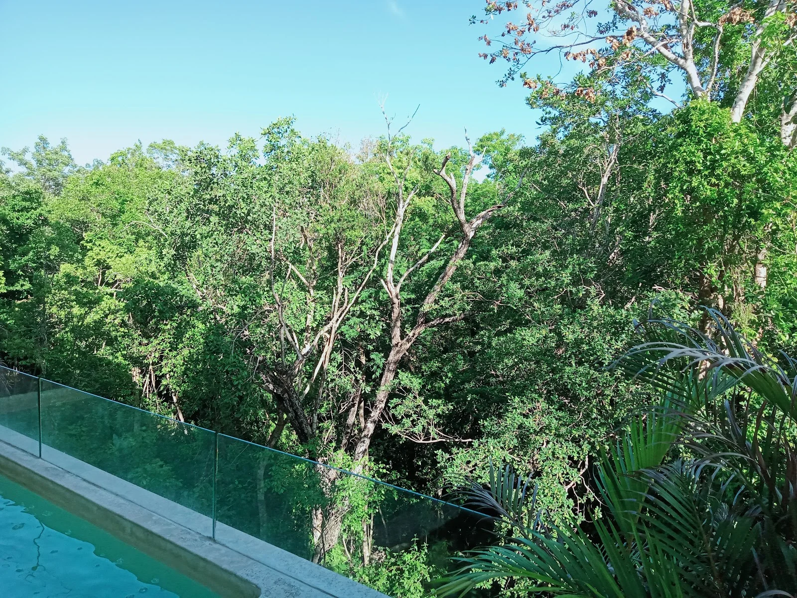 Apartment in Aldea Zama