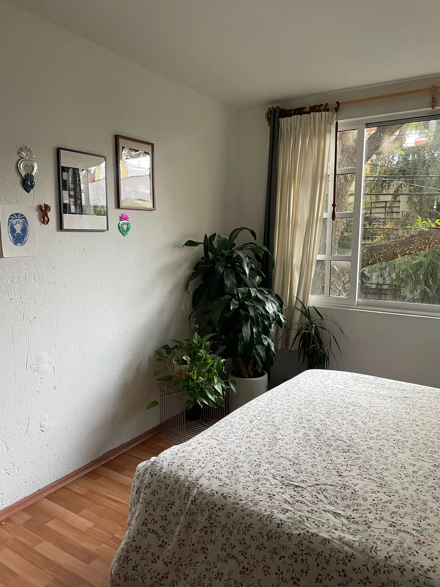 Private Room in Condesa, Steps from Parque México