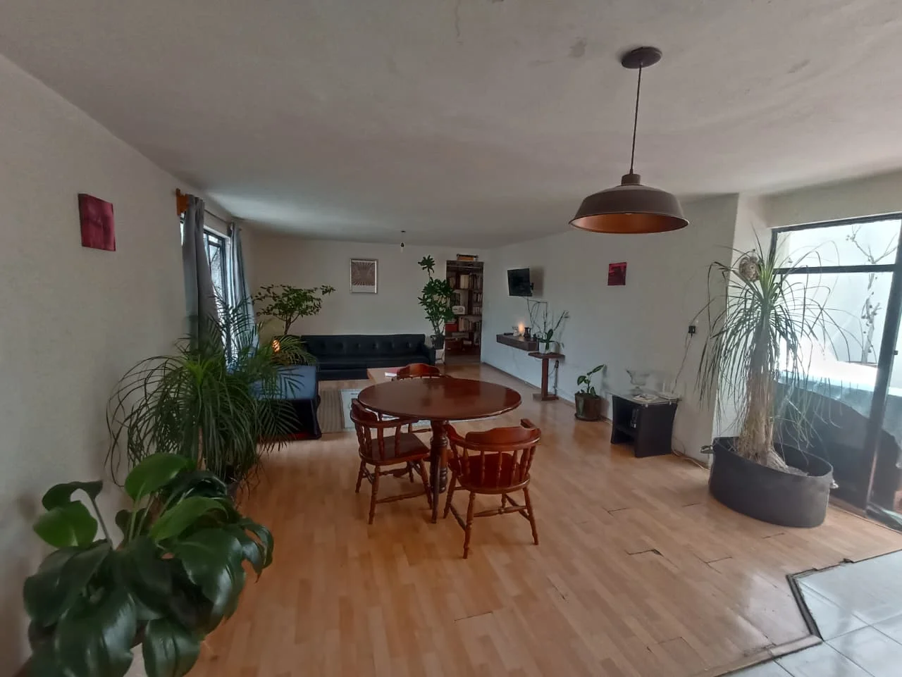 Room for Rent in Roma Norte, Mexico City