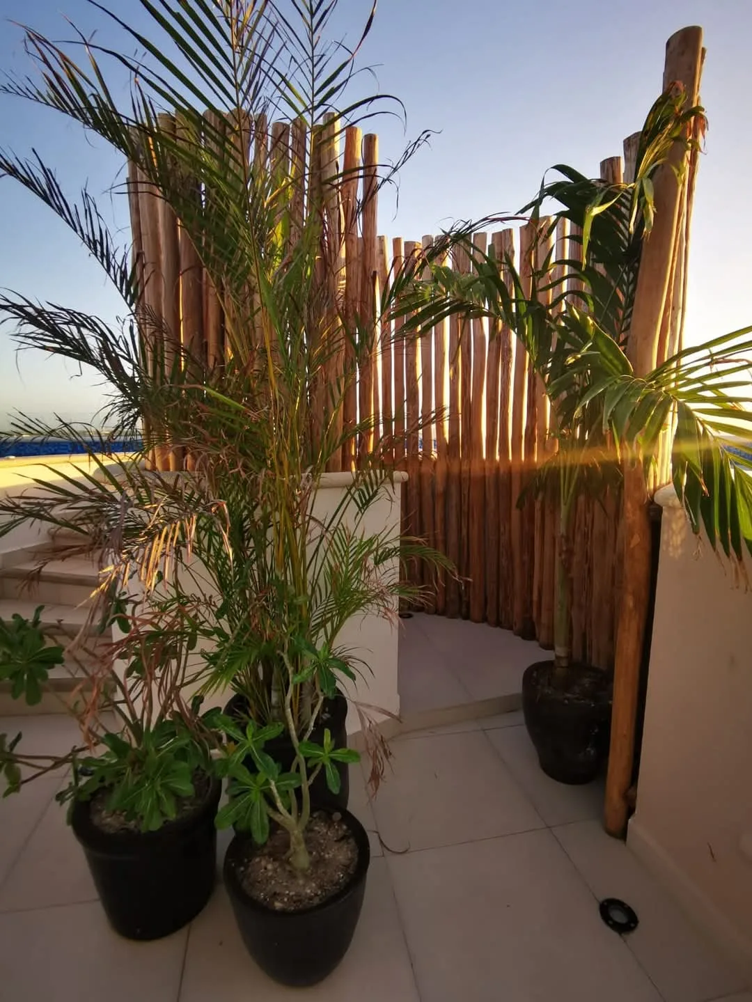 Studio Apartment in Centro, Bali-La Joya