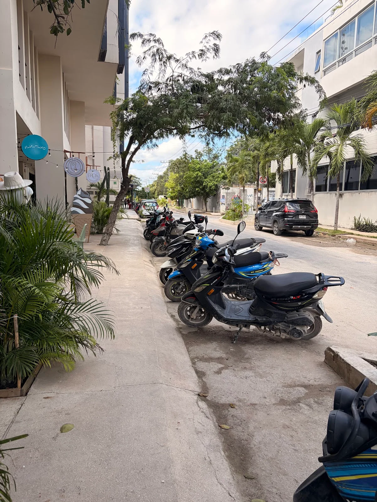 2 Bedroom Apartment for Rent in La Veleta, Tulum