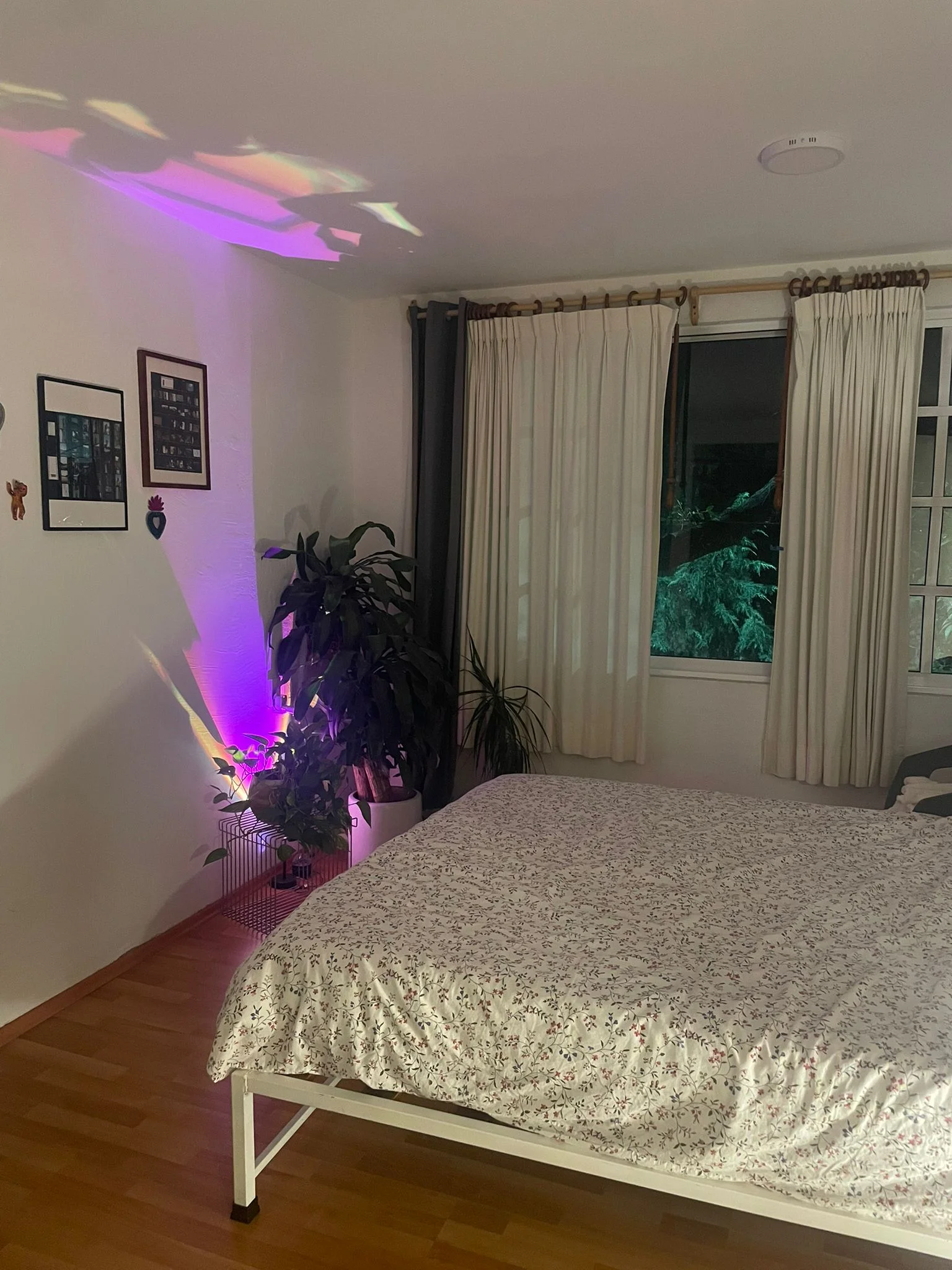 Private Room in Condesa, Steps from Parque México