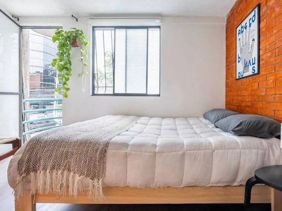 2 Bedroom Apartment in Roma Norte