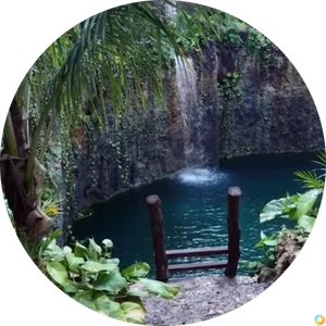 Mauricio_vazquez@gmail.com Pineda