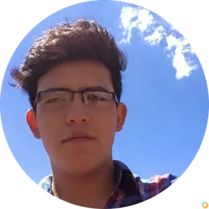 luis salcido